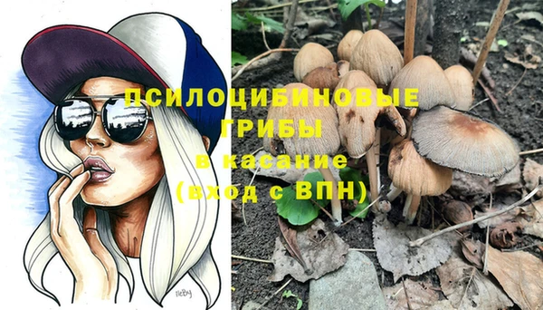 молекула духа Струнино