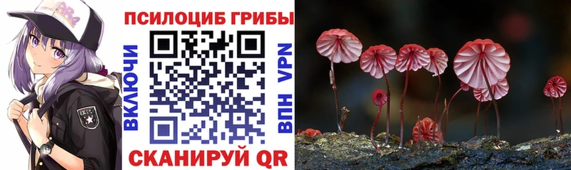 Галлюциногенные грибы ЛСД Череповец