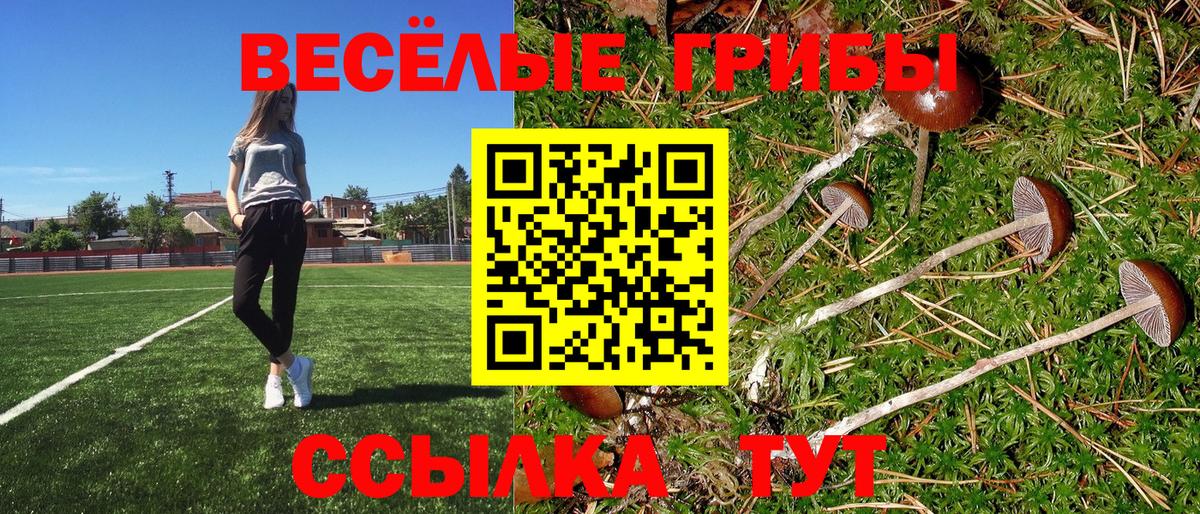 Галлюциногенные грибы Psilocybe  Псилоцибиновые грибы MAGIC MUSHROOMS  Череповец  Вход с VPN 