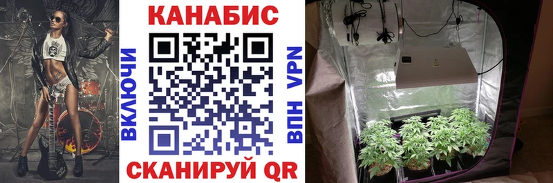 МАРИХУАНА VHQ  наркота  Череповец 