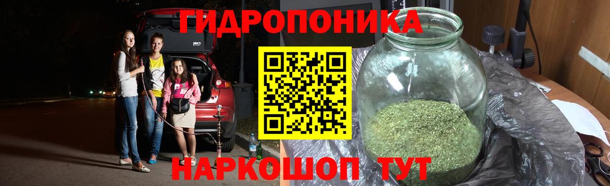 Марихуана ГИДРОПОН  МАРИХУАНА White Widow  Шишки марихуана тримм  Вход с VPN  Череповец 
